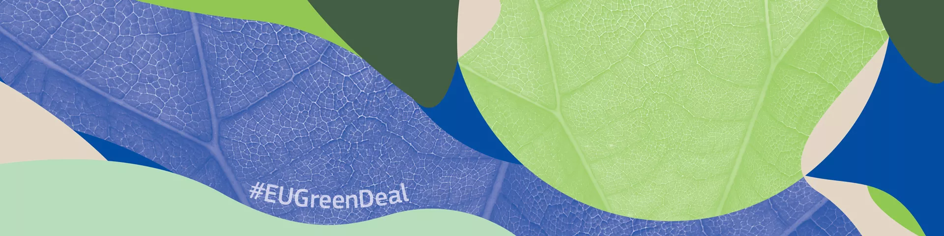 Abstract cover image in pale green, olive green, blue and cream tones.