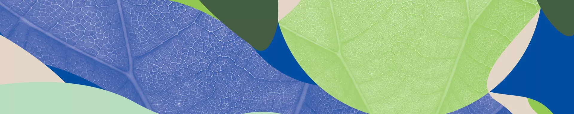 Abstract cover image in pale green, olive green, blue and cream tones.