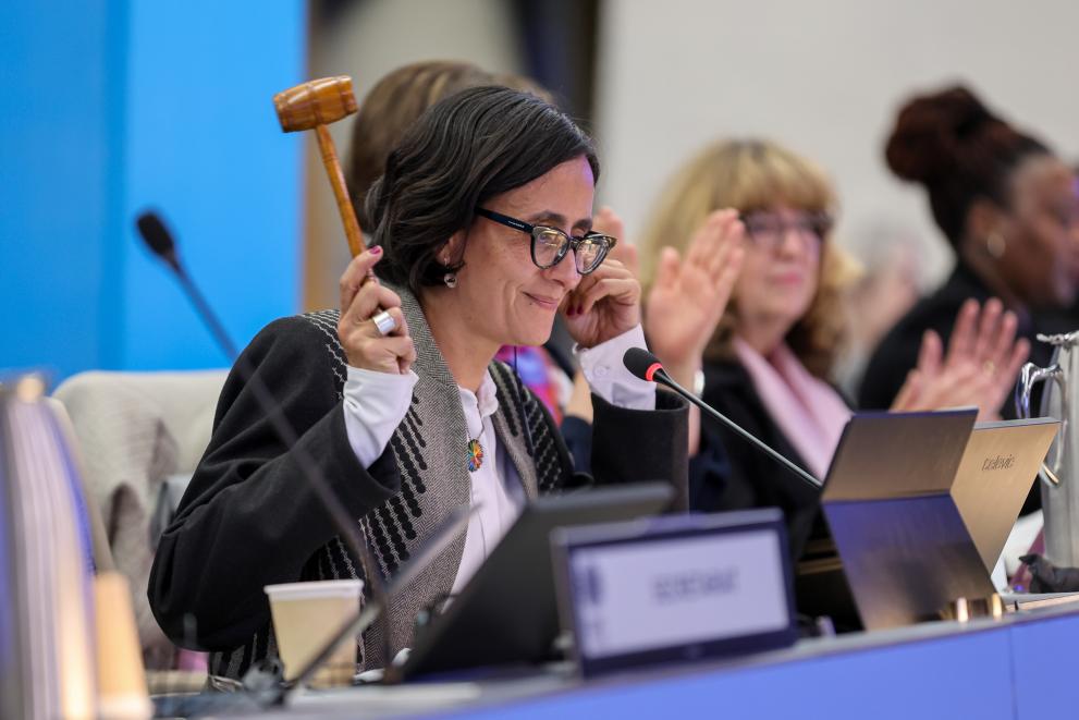 A hammer being hit at the COP16 negotiations in Rome