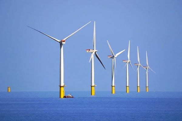 Critical considerations in partial decommissioning of offshore wind farms include residual liability and biodiversity trade-offs