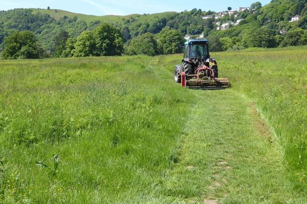 Grassland study suggests varied, curved mowing pattern may support bees and butterflies better than conventional block mowing